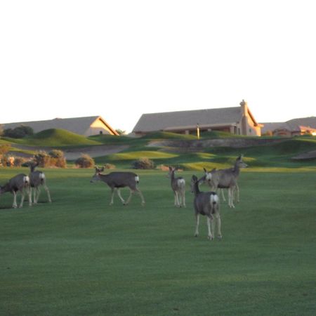 Gold Canyon Golf Resort חדר תמונה