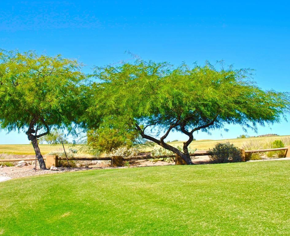 Gold Canyon Golf Resort חדר תמונה